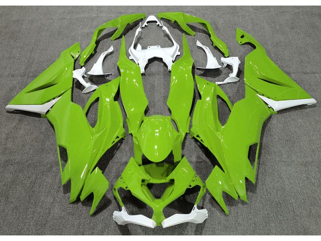 Vert Brillant & Blanc 19-23 Kawasaki ZX6R Carénage